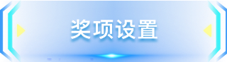 奖项设置